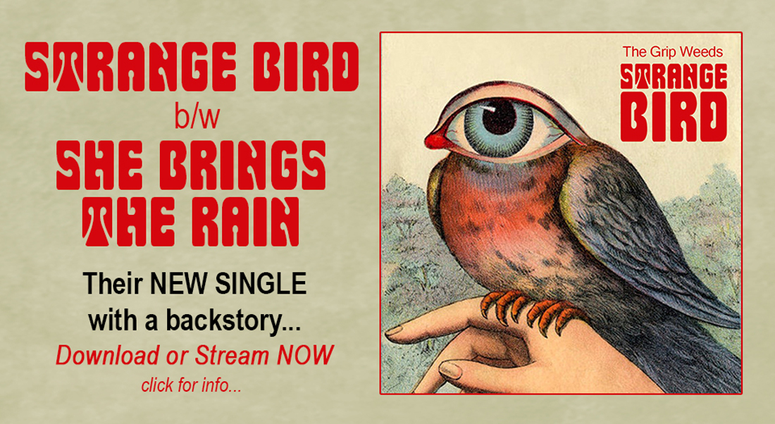 Strange Bird EP